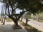 Château de Neratzia - île de Kos Photo 9