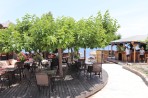 Plage d'Agios Fokas - Île de Kos Photo 32